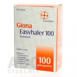 Гиона Изихейлер (Giona Easyhaler) 100 мкг/доза, 200 доз