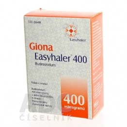Гиона Изихейлер (Giona Easyhaler) 400 мкг/доза, 100 доз
